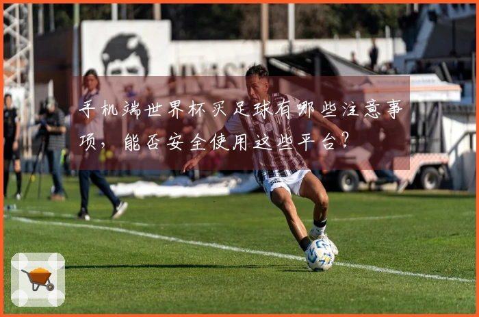 手机端世界杯买足球有哪些注意事项，能否安全使用这些平台？