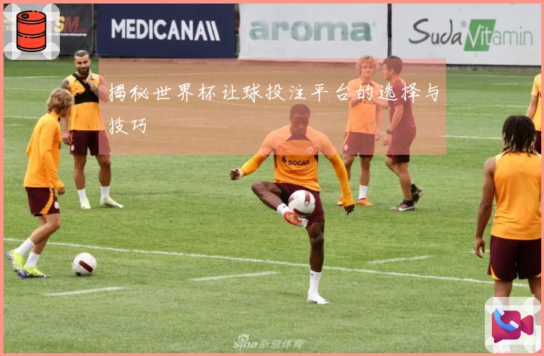 揭秘世界杯让球投注平台的选择与技巧