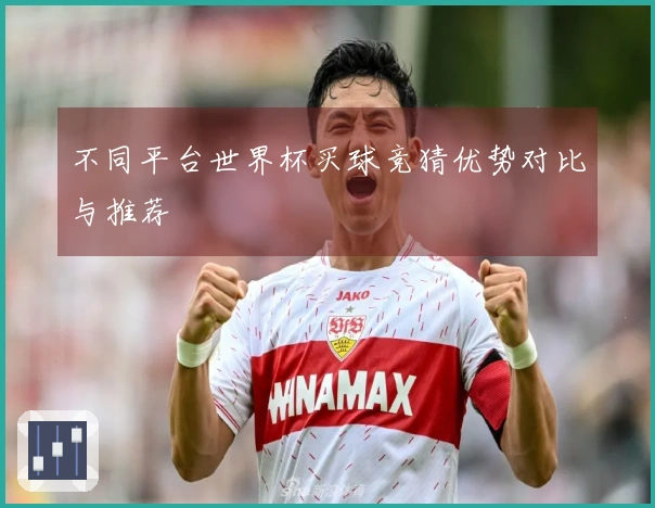 不同平台世界杯买球竞猜优势对比与推荐