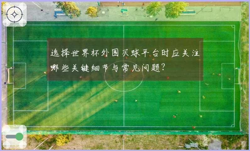 选择世界杯外围买球平台时应关注哪些关键细节与常见问题？