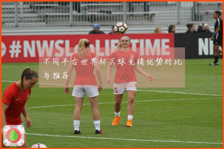 不同平台世界杯买球竞猜优势对比与推荐